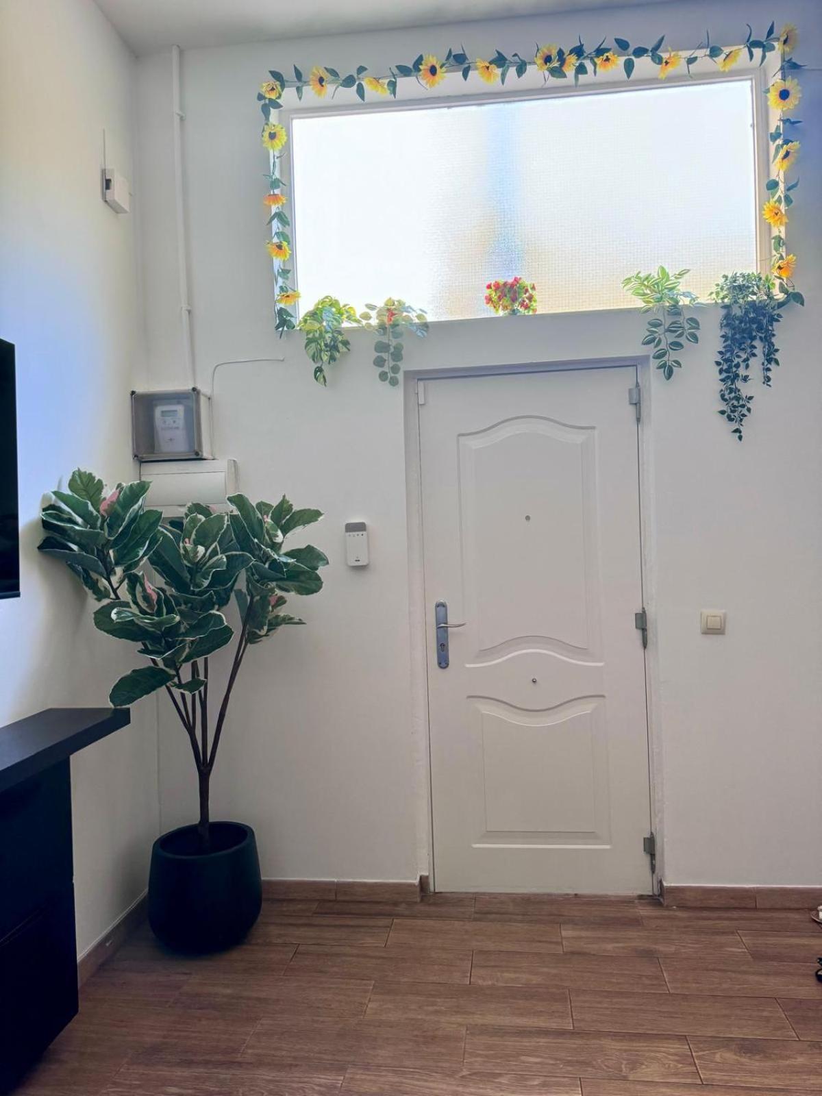 Pamis Apartament Sants, Barcelona Ngoại thất bức ảnh